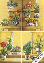 Flowers and plants - 4170135