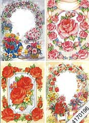 Pink and Red Roses - 4170196