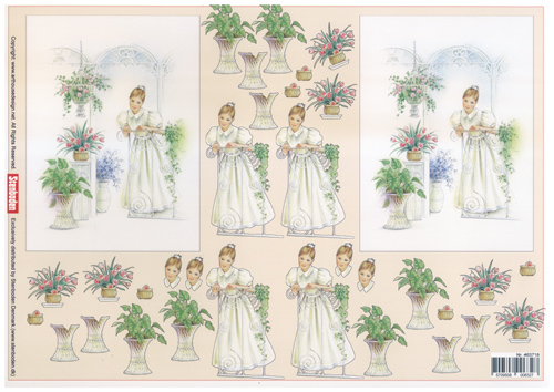 Young Lady A4 Sheet - 463718 B