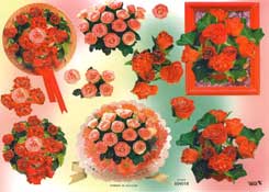 Roses for Weddings - 504018