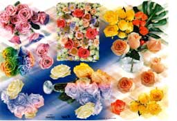 Floral - 504022