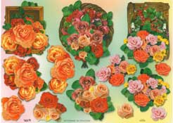 Framed Roses - 504048