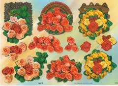 Roses - 504049