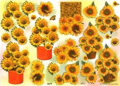 Sun Flowers - 504119
