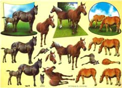 Horses - 504303