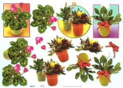 Flowers In Pots - 504398