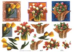 Tulips - 504436