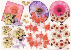 White Roses And Daisy - 504437