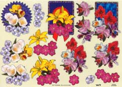 Mixed Flowers - 504458