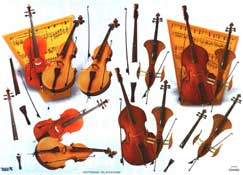 Bass with Music - 504480