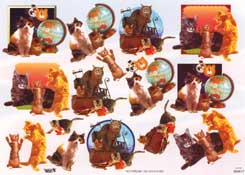 Kittens and Friends - 504517