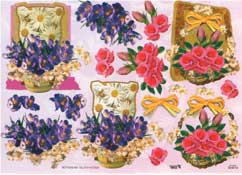 White Daisy - 504614