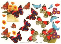 Butterflies - 504700