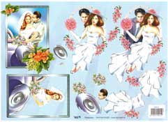 Bride And Groom - 504915