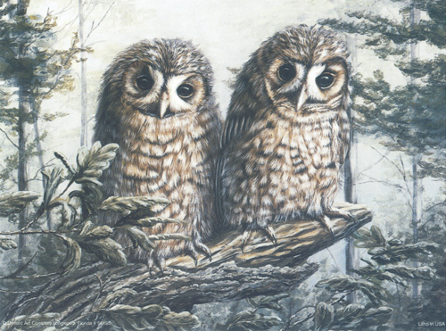 Twin Owls Print Size 8 x 6 - 513