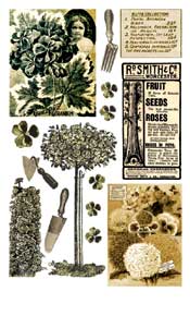 Garden Collage - 535ROY