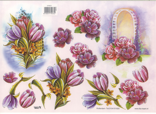 Tulips and floral Arch - 574033