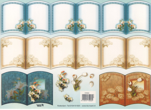Books - 575053
