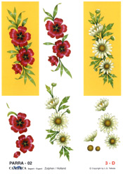 Floral - 625002