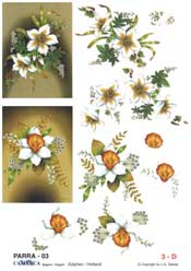 Daffoldil - 625003