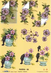 Grapes - 625006