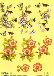 Flowers And Butterflys - 625018