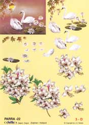 Swan - 625022