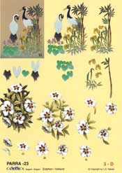 Birds - 625023