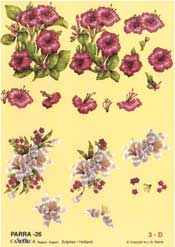 Pink Floral - 625026