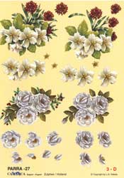 Berries And Flowers - 625027