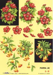 Red Floral - 625028