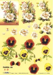 Panies and Flower - 625034