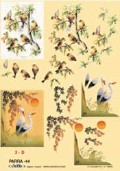 Birds - 625044