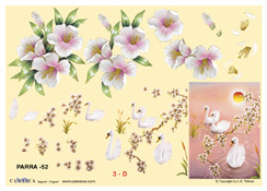 Swans and white flowers - 625052