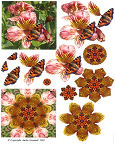 Butterflies - 425405