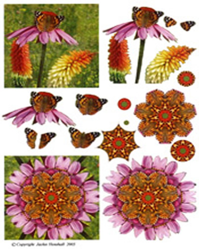 Butterflies - 425406