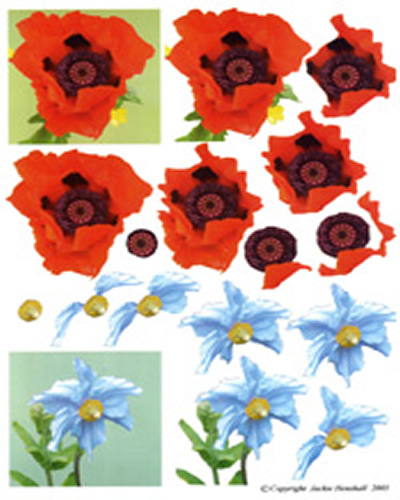 Poppies - 425409