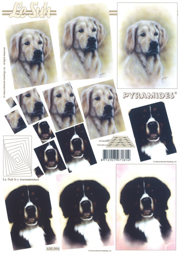 Dogs - 630096