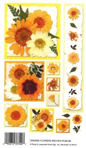 Orange Flowers - 672ROY