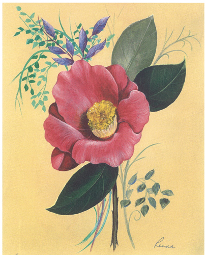 Reina Camellia Japonica 1 5 x 4 - 701B