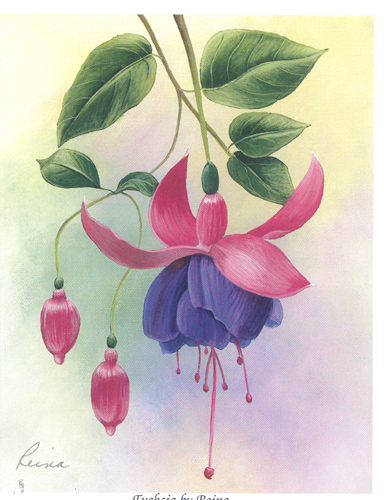 Reina Small Fuchsia 1 5x4 - 704B