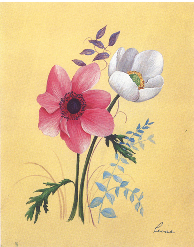 Reina Poppy Anenomone 5 x 4 - 710B