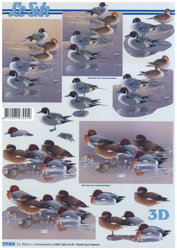 Birds - 777016