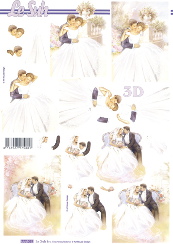 Bride and Groom Wedding - 777029