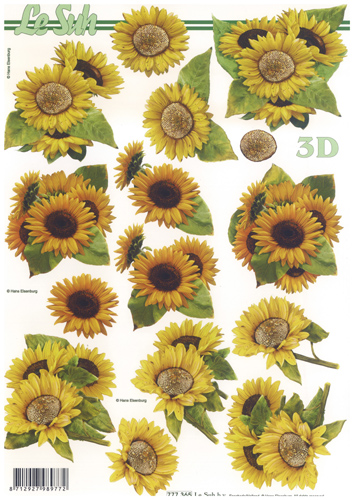 Sunflowers - 777365