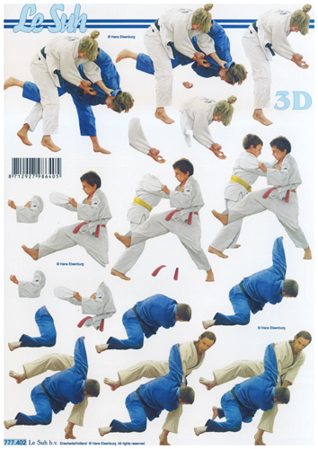 Martial Arts A4 Sheet - 777402