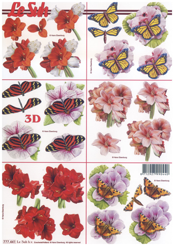 6 Flower Heads A4 Sheet - 777441
