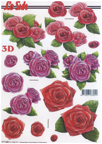 Roses Heads A4 Sheet - 777488