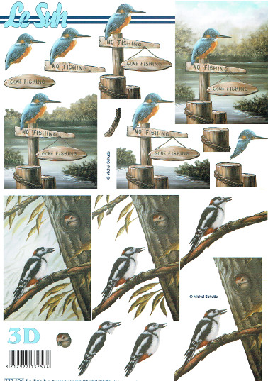 Kingfisher - 777494