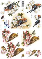Birds - 8215103